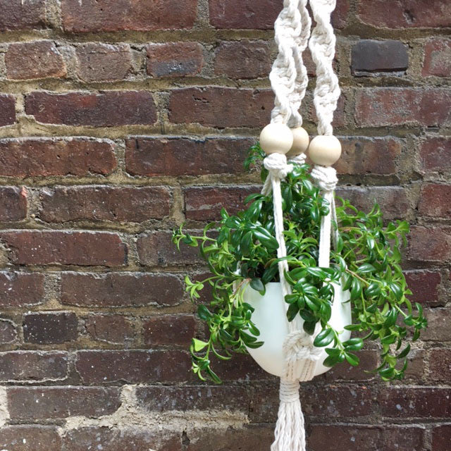 Macramé Plant Hanger Workshop Brooklyn Craft Company