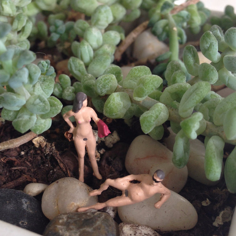 DIY Date Night: Dirty Terrariums Past Workshop Brooklyn Craft Company